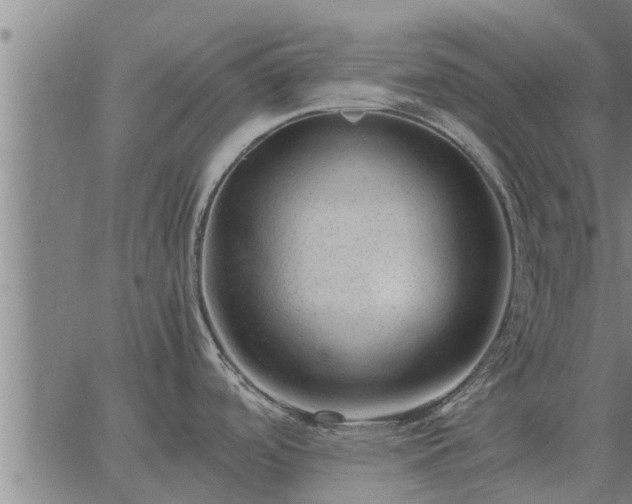 X0000062881488200601201807