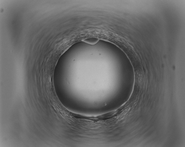 X0000062881489200601201806