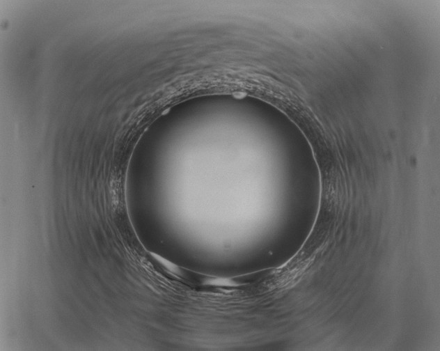 X0000062881490200601201806