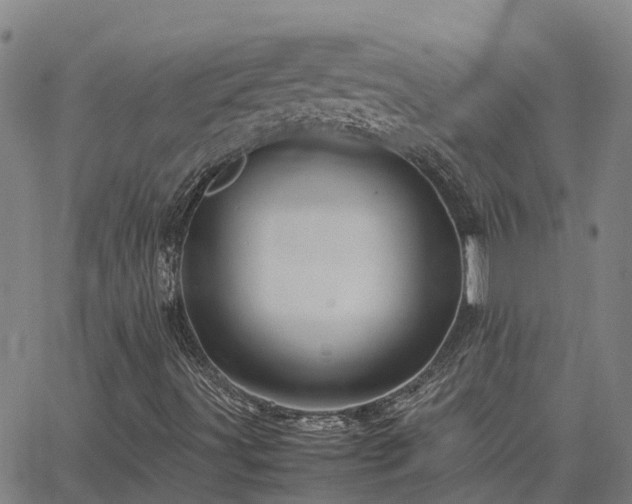 X0000062881491200601201806