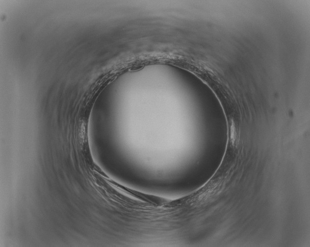 X0000062881492200601201806