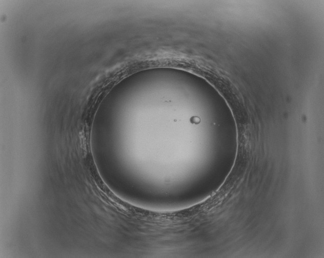 X0000062881493200601201806