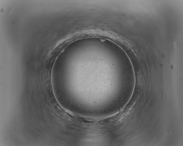 X0000062881494200601201806