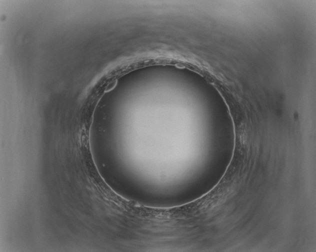 X0000062881495200601201806