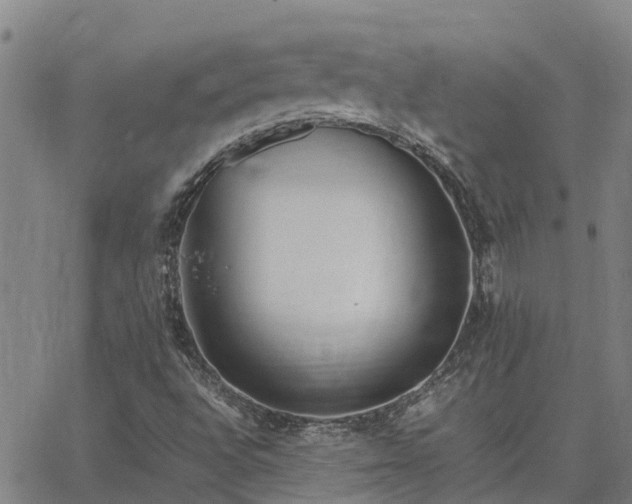 X0000062881496200601201806