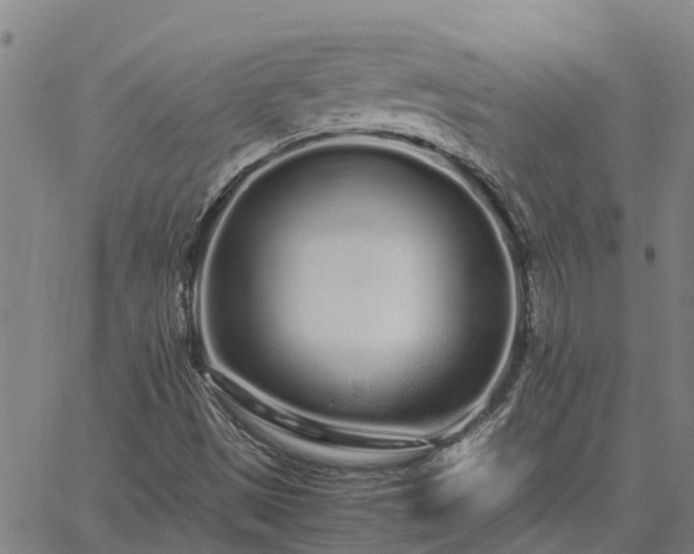 X0000062881497200601201806