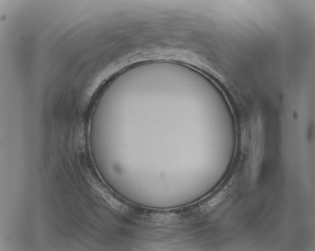 X0000062881498200601201806