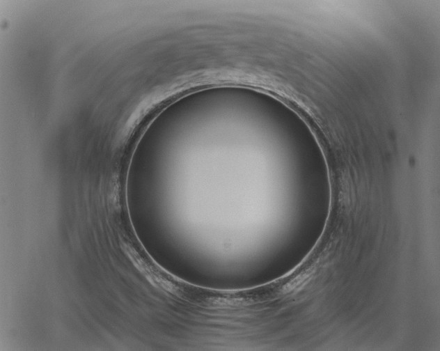 X0000062881499200601201806