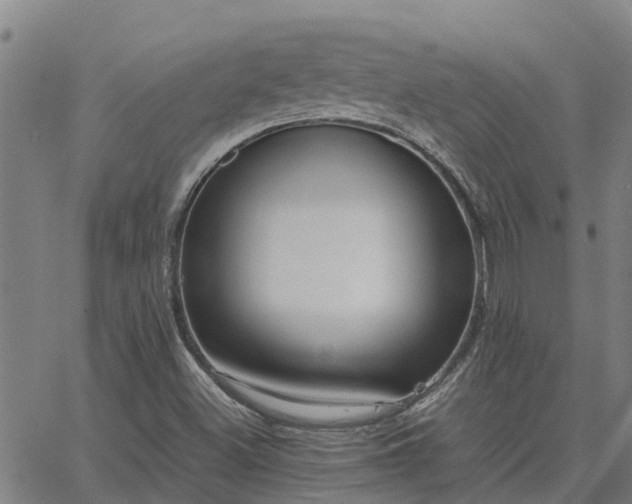 X0000062881500200601201806