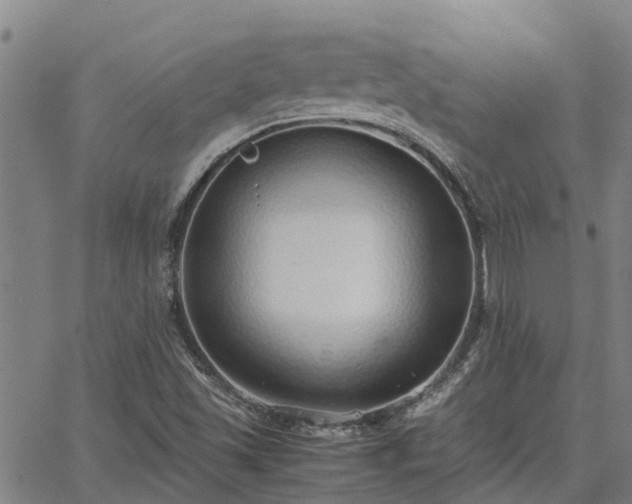 X0000062881501200601201806