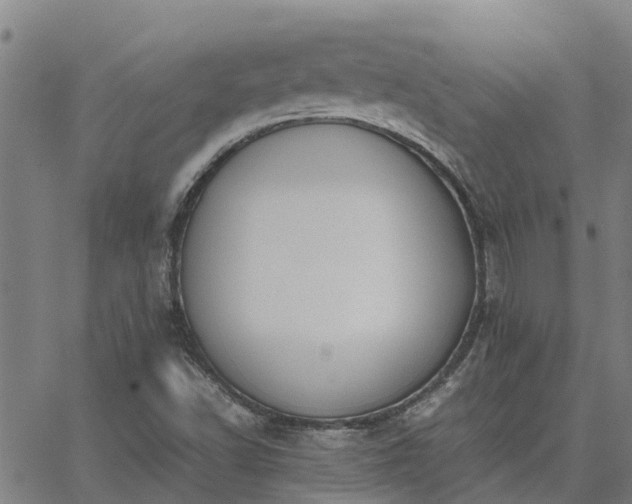 X0000062881502200601201806