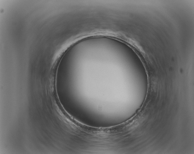 X0000062881504200601201806