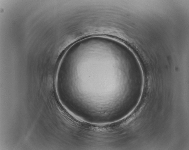 X0000062881505200601201806