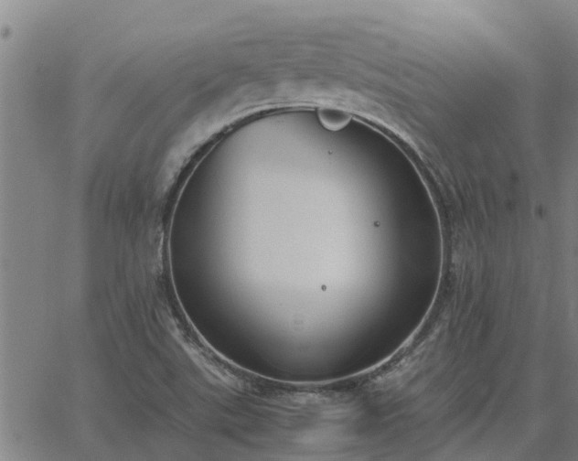 X0000062881507200601201806