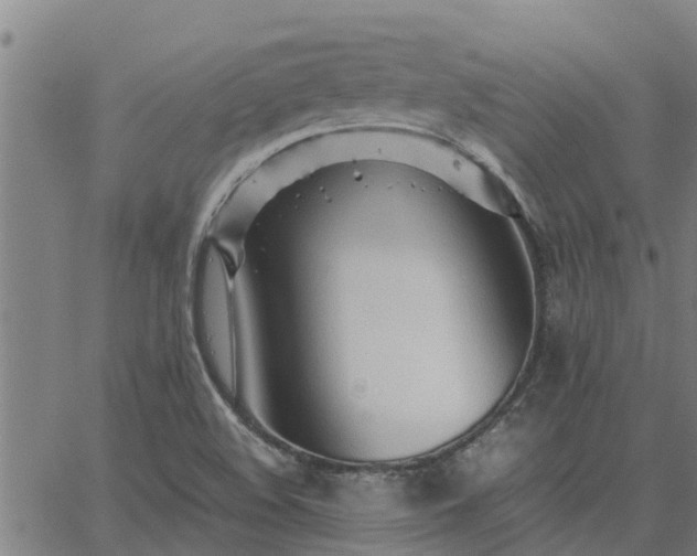 X0000062881508200601201806