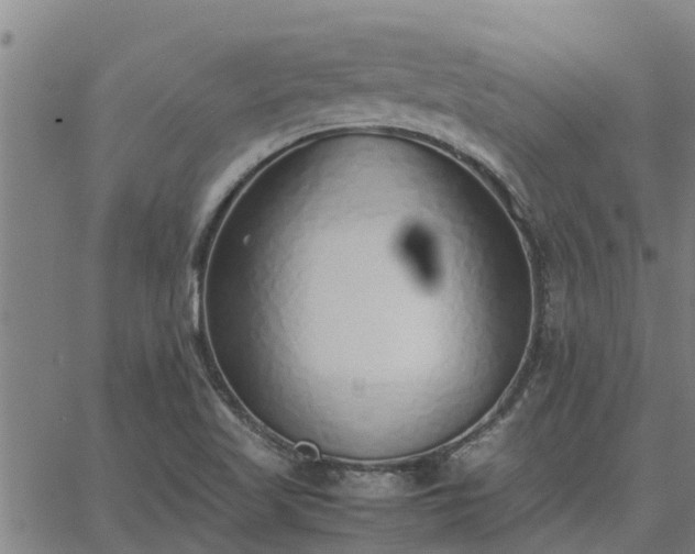 X0000062881509200601201806