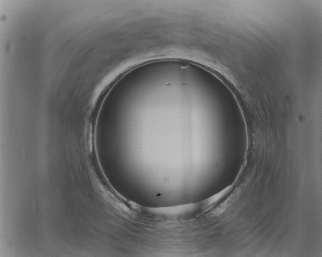 X0000062881510200601201806