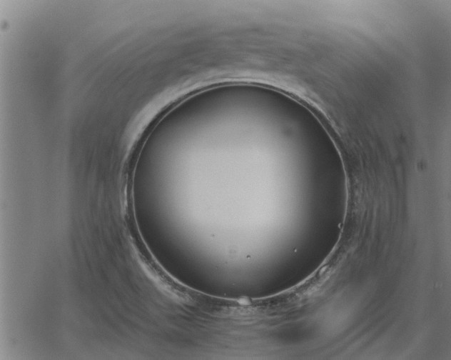 X0000062881511200601201806