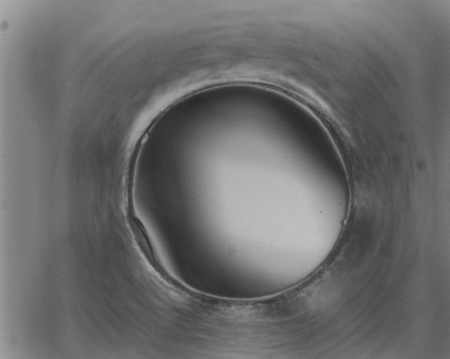 X0000062881512200601201806