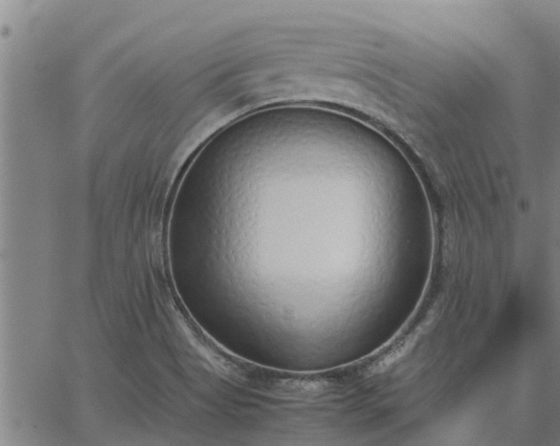 X0000062881513200601201806