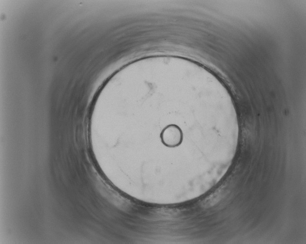 X0000062881514200601201806