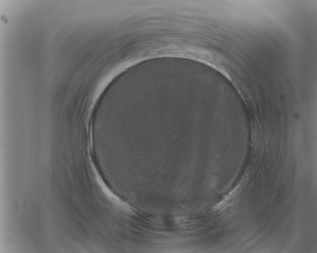 X0000062881515200601201806