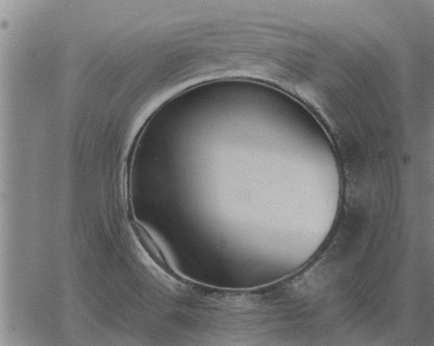 X0000062881516200601201806