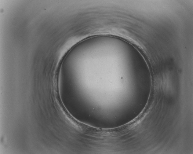 X0000062881517200601201806