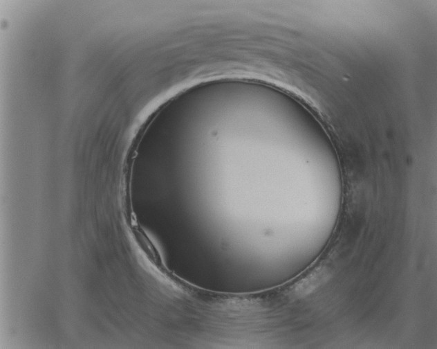 X0000062881518200601201806