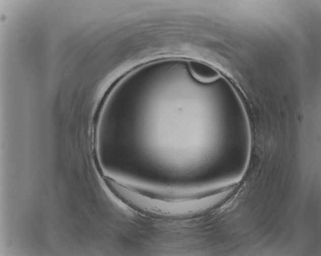 X0000062881519200601201806