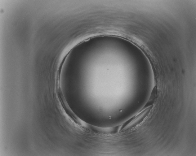 X0000062881520200601201806