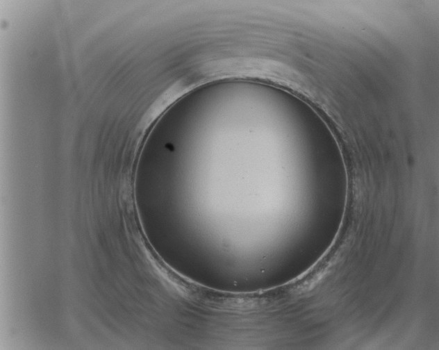 X0000062881521200601201807