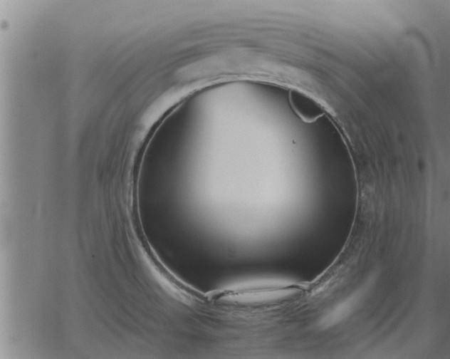 X0000062881523200601201807