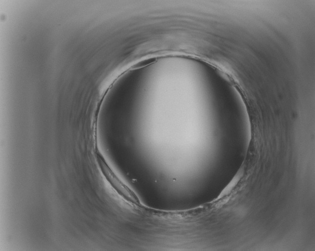 X0000062881524200601201807