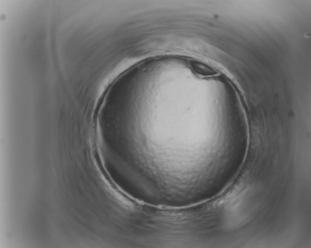 X0000062881525200601201807