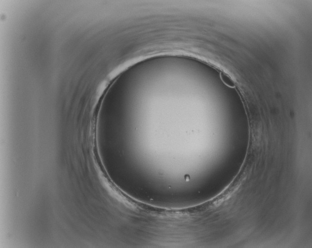 X0000062881526200601201807