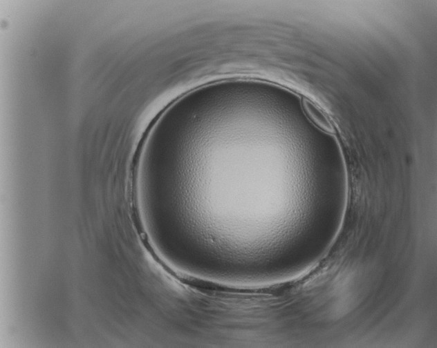 X0000062881527200601201807