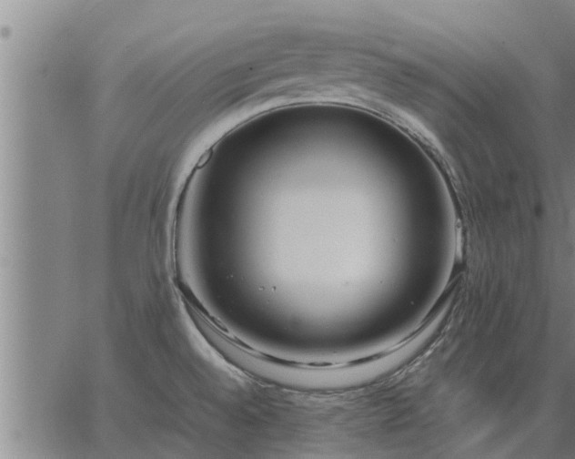 X0000062881528200601201807