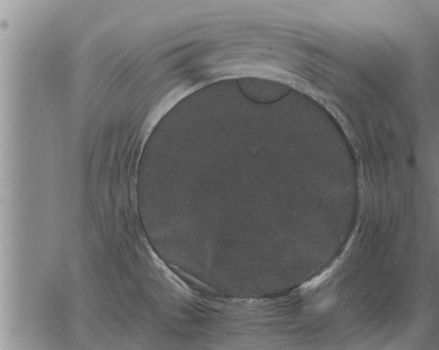 X0000062881529200601201807