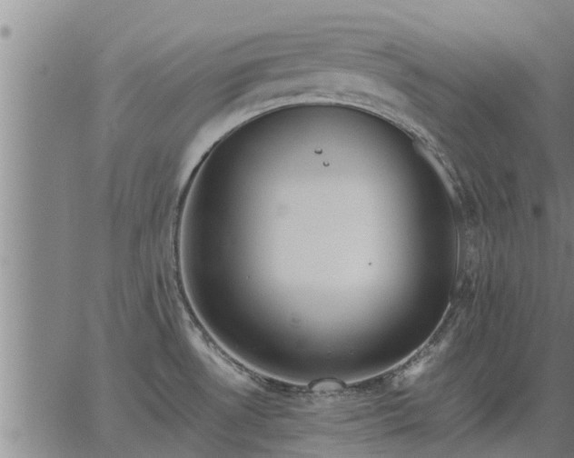 X0000062881530200601201807