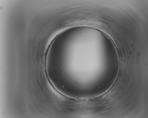 X0000062881531200601201807