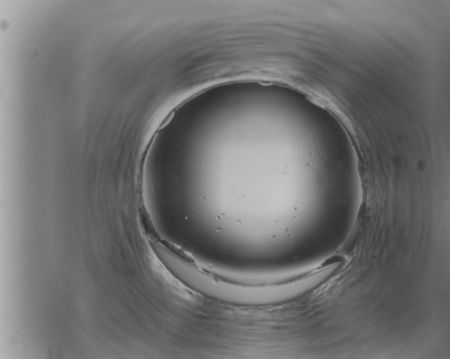 X0000062881532200601201807