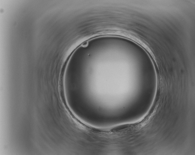 X0000062881533200601201807