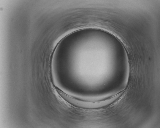 X0000062881534200601201807