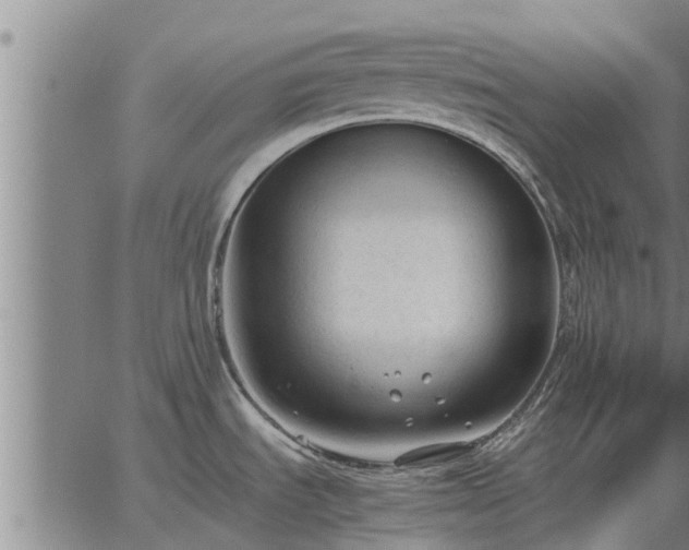 X0000062881535200601201807