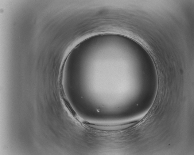 X0000062881536200601201807