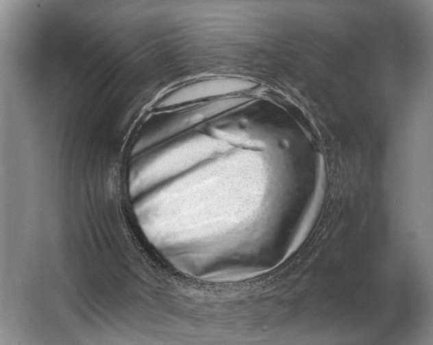 X0000062880002200601271634