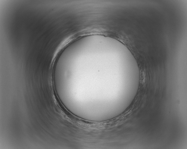 X0000062880004200601271634