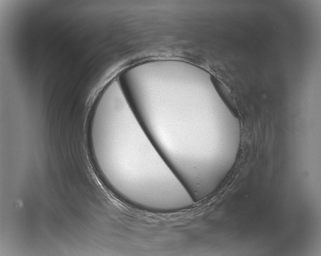 X0000062880005200601271634