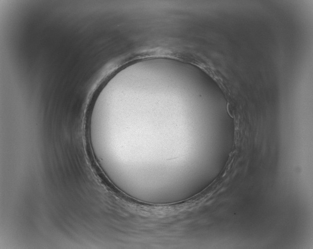 X0000062880006200601271634